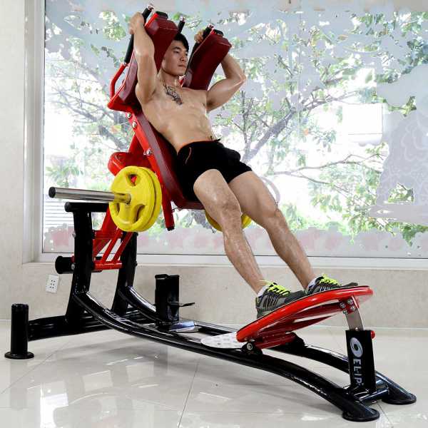 Máy tập gánh đùi Elip YL44 — ảnh 1