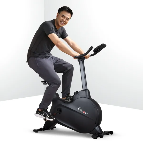 Xe đạp tập ELIP Alexander - Black — ảnh 1